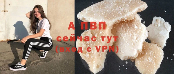 сатива Вяземский