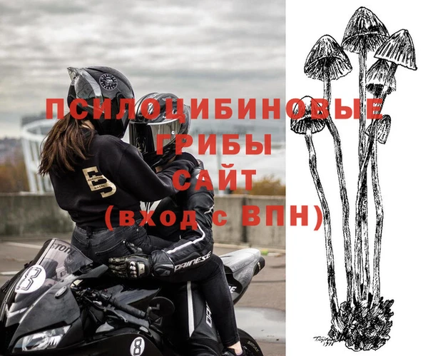 сатива Вяземский