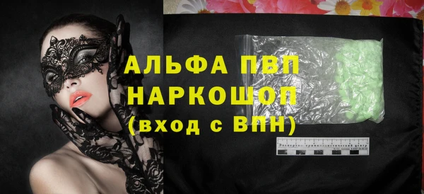 сатива Вяземский
