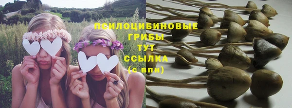сатива Вяземский