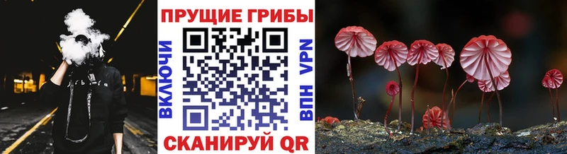 где найти   Лабытнанги  OMG вход  Псилоцибиновые грибы MAGIC MUSHROOMS 