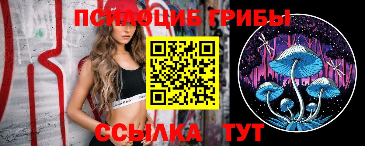 Галлюциногенные грибы Cubensis  Лабытнанги 