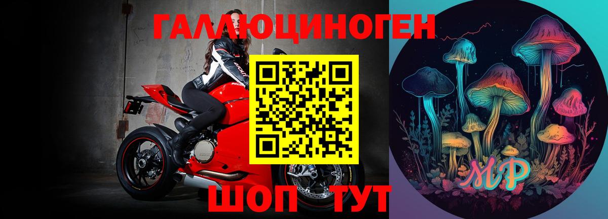 Псилоцибиновые грибы Psilocybe  как найти наркотики  Лабытнанги  Вход с VPN 